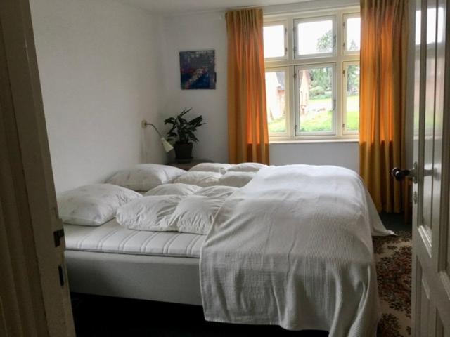 My Home Spodsbjerg Екстериор снимка