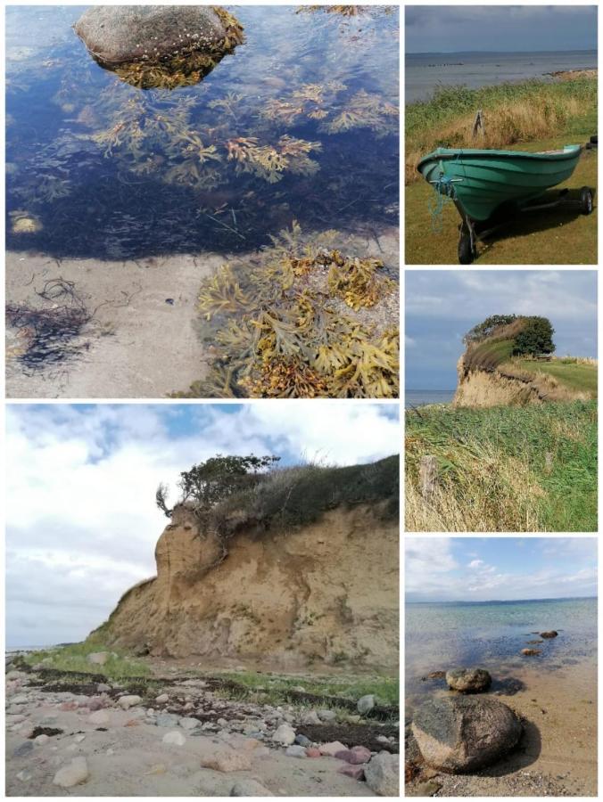 My Home Spodsbjerg Екстериор снимка